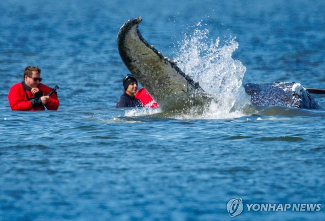 지난달 28일 바지선에 실리기 직전 티미