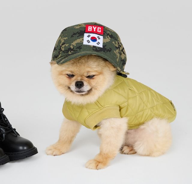 반려동물 의류 라인 '개리야스' 깔깔이