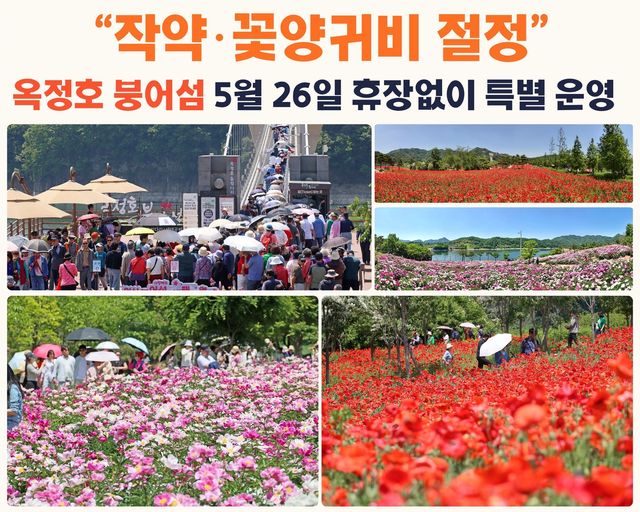 옥정호 붕어섬 26일 정상 운영 홍보물