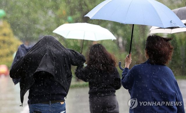 세차게 내리는 비