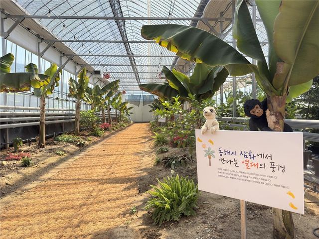온실정원 내부 