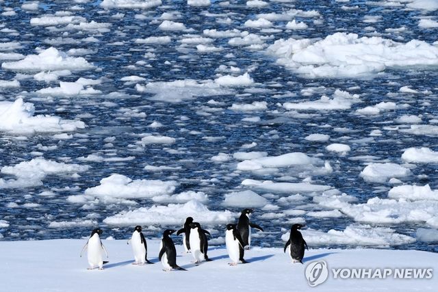 [AP=연합뉴스 자료사진. 재판매 및 DB 금지]