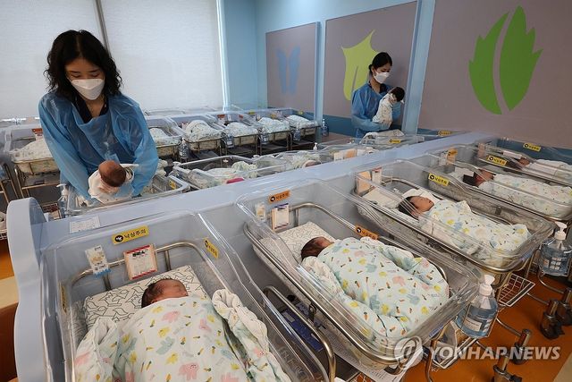 2월생 아기 2만3천명, 7년 만에 최대