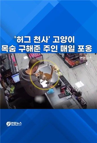 [쇼츠] '허그 천사' 고양이, 목숨 구해준 주인 매일 포옹 - 2