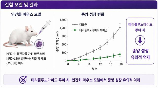 실험모델 및 결과 이미지