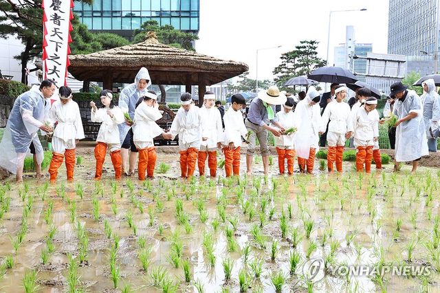 꼬마 농부들의 즐거운 손모내기