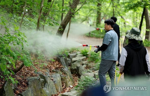 '러브버그' 대량 출몰 막아라!... 방제작업 분주