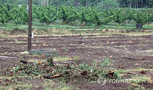 충주의 과수화상병 발생 농가