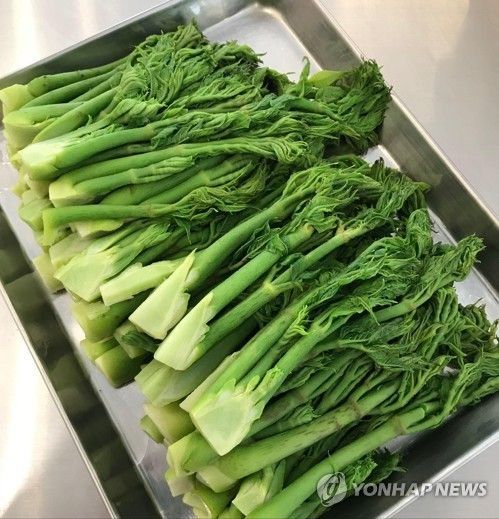 두릅