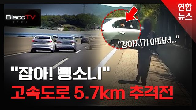 [BlaccTV] "쾅!" 4분 추격해서 잡았는데 "강아지 아파서 갈게요" - 2
