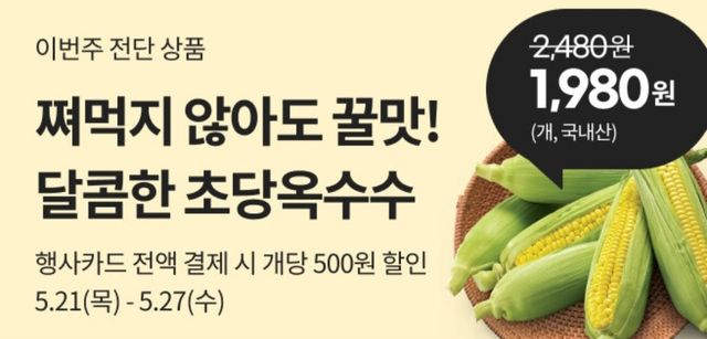 초당 옥수수 할인 행사