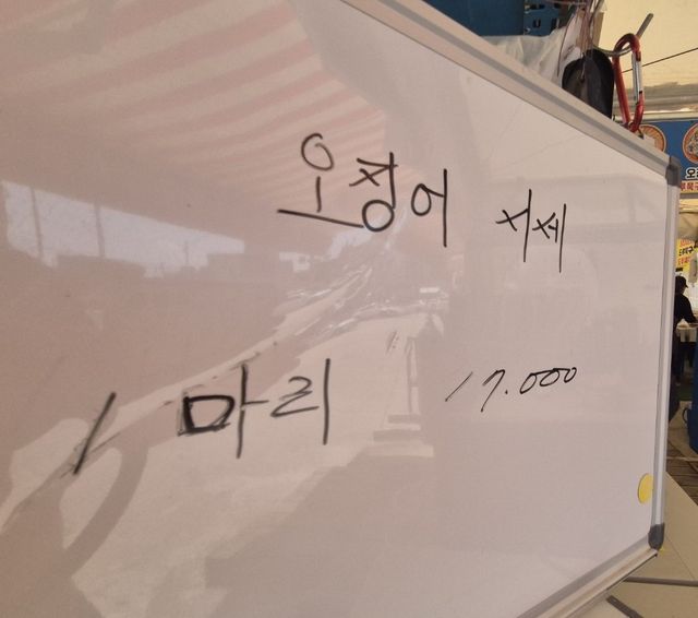 속초 오징어 난전 시세