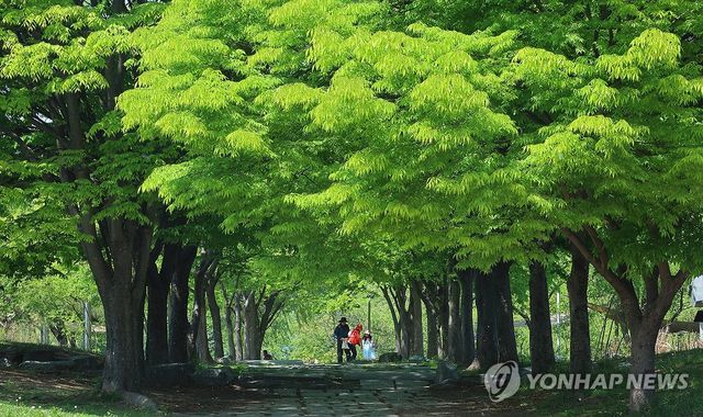 신록의 계절