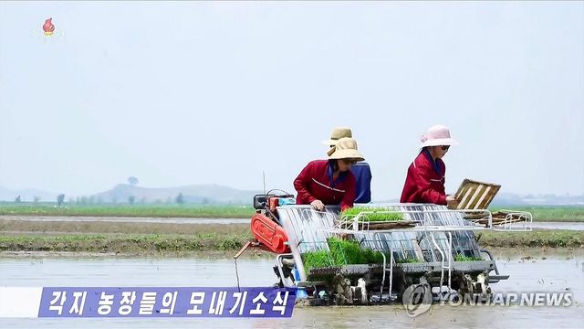 북한, 전국 농장서 모내기 한창