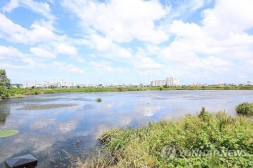 [연합뉴스 자료사진. 재판매 및 DB 금지]