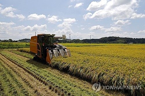 일본 농촌