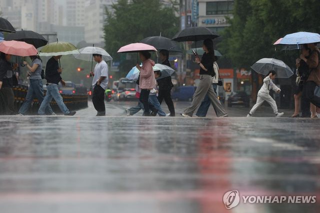 세차게 내리는 비