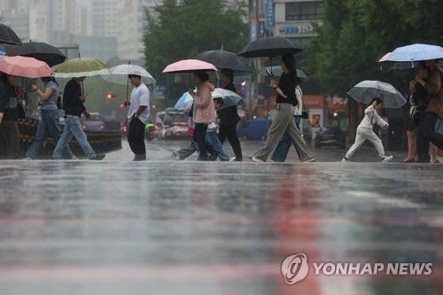 세차게 내리는 비