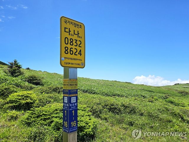 국가지점번호
