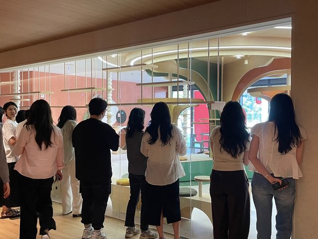 유기묘 보호·입양 시설 '퍼라운지'를 둘러보는 사람들