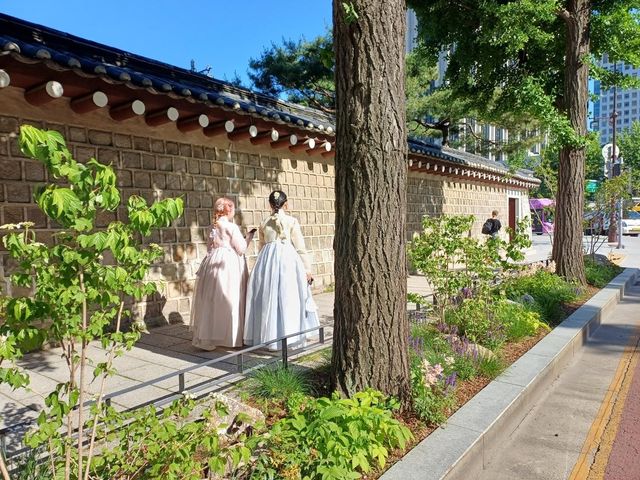 효자로 가로정원