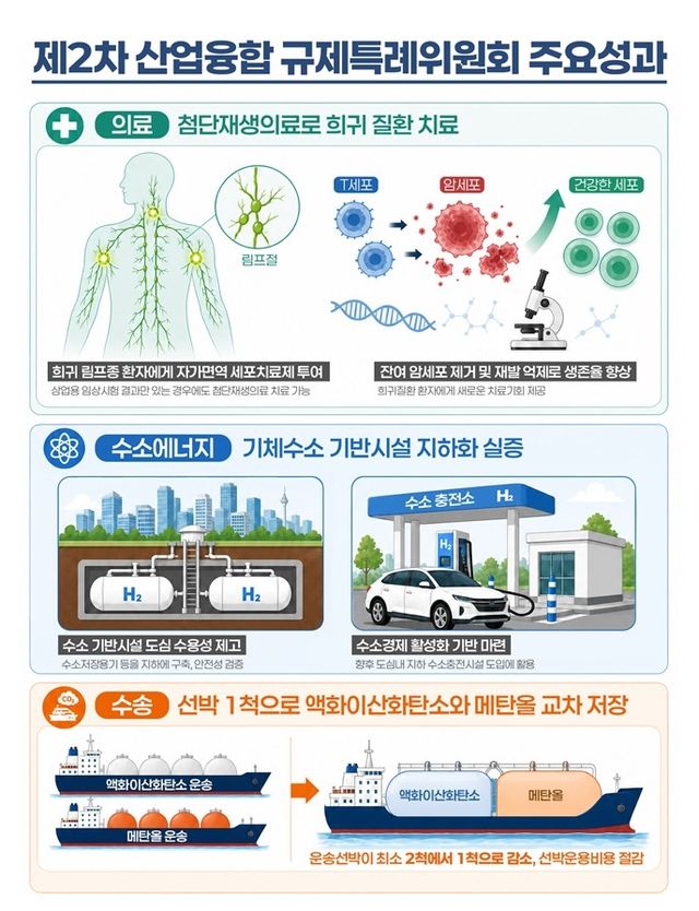 제2차 산업융합 규제특례위원회 주요성과