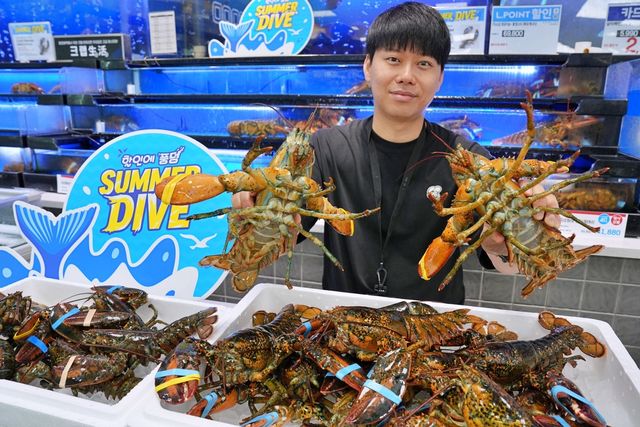 롯데마트, 내달 2일까지 캐나다산 활랍스터 반값 판매