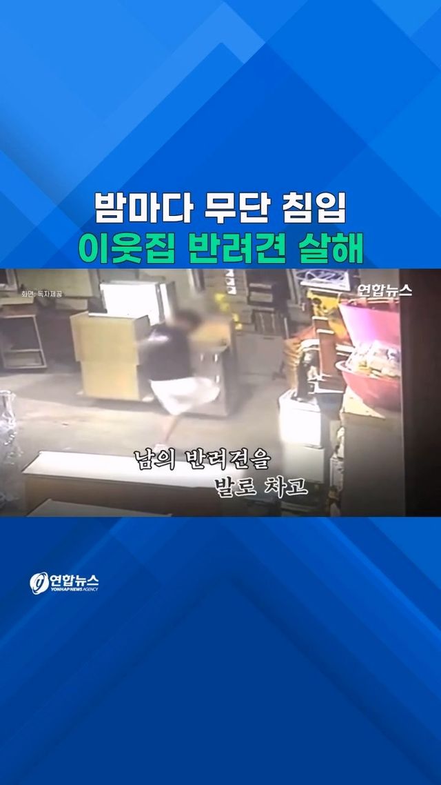 [쇼츠] "육포 주다 물려서"…이웃집 반려견 죽인 '두 얼굴 20대' - 2