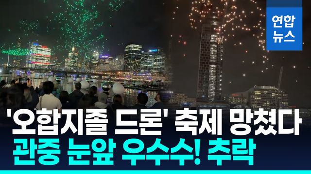 [영상] 흩어지고 바다 풍덩 '오합지졸'…드론 90대 추락에 공연 취소 - 2