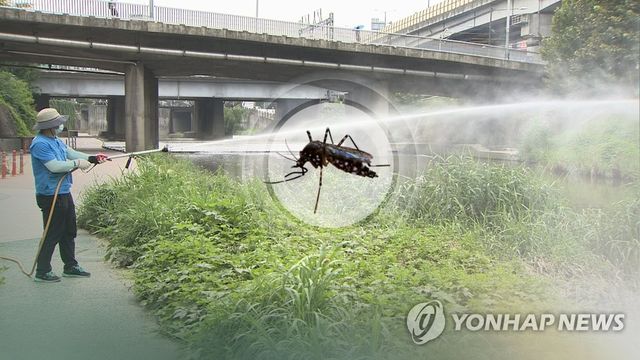 모기 방역(CG)