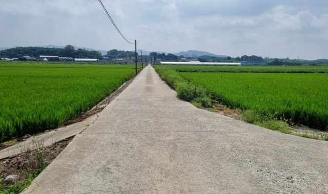 확장 공사가 추진되는 정북동 토성 진입로 