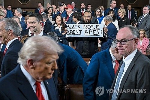 '흑인은 유인원이 아니다'라는 팻말 들고 트럼프에 항의하는 민주당 그린 하원의원 