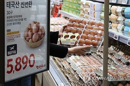 마트에서 판매되는 '태국산 신선란'