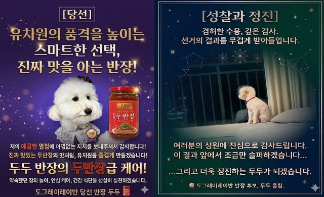 반려견 두두의 당선 확정 시 포스터(왼쪽)와 낙선 포스터(오른쪽)