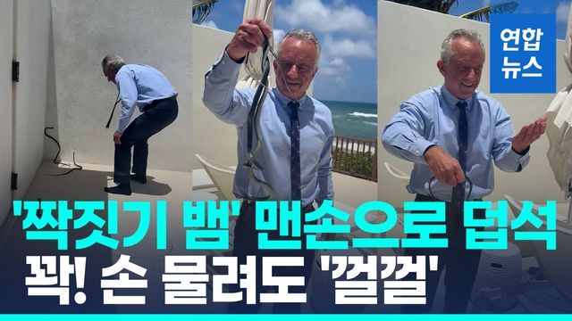 [영상] '짝짓기 뱀' 맨손으로 잡은 케네디…"악!" 손 물려도 '껄껄' - 2