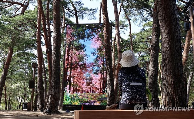 휴식도 취하고 미디어아트도 보고