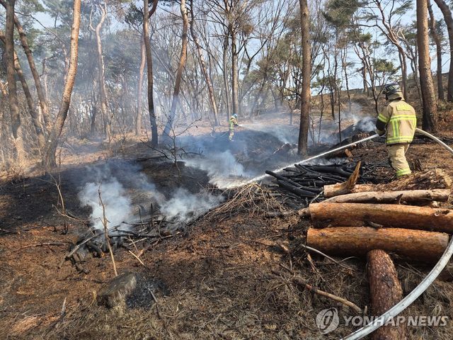수원 팔달산 화재