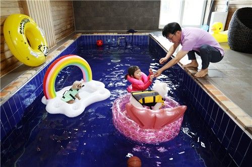 반려동물과 함께 태안 여행