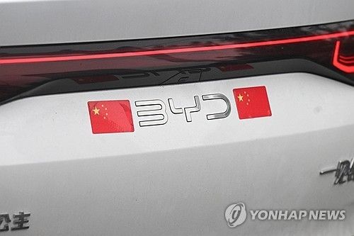 중국 전기차