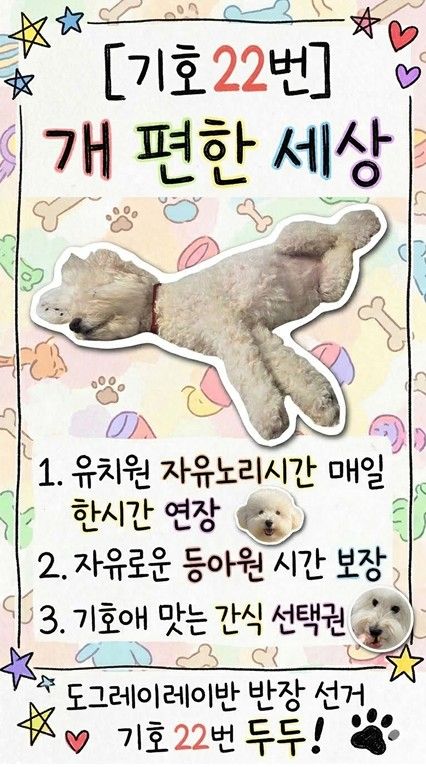 애견유치원 반장선거 출마한 두두