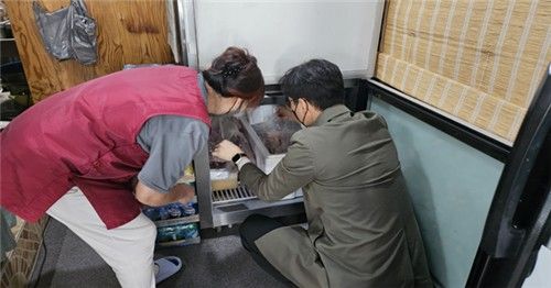 원산지표시 단속반이 염소고기의 원산지표시를 점검하는 모습