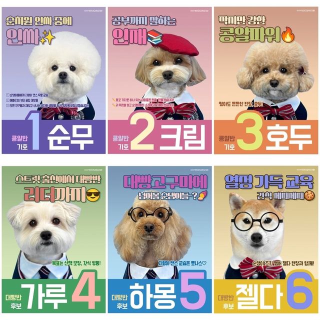 반려견 유치원 반장 선거 후보 포스터