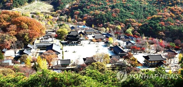 금산사 전경