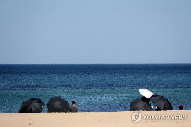초여름 더위…햇볕 피해 그늘로