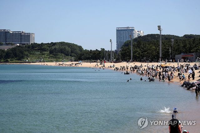 풍덩 바다에 빠지고 싶은 날씨