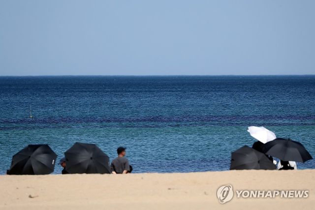 초여름 더위…햇볕 피해 그늘로