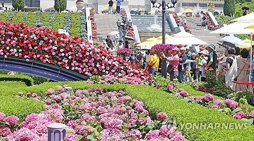 "장미 향기에 취하다"…임실 치즈테마파크서 꽃향기 물씬