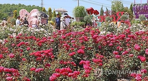 장미 향기 가득