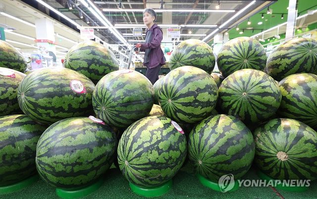 이른 더위에 수박 인기