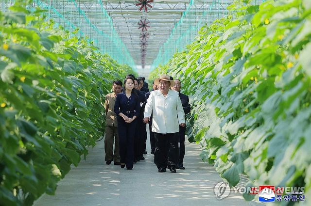 김정은, 신의주온실종합농장 시찰